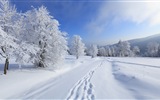 Neige d'hiver fonds d'écran HD magnifique de paysages #14