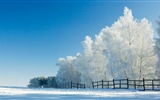 La nieve del invierno fondos de pantalla HD hermoso paisaje #15