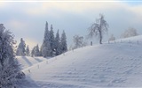 La nieve del invierno fondos de pantalla HD hermoso paisaje #16