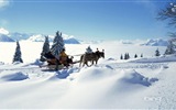 Winter snow beautiful scenery HD wallpapers #17