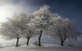 Winter snow beautiful scenery HD wallpapers #18