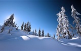 Winter snow beautiful scenery HD wallpapers #96627