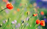 February 2015 Calendar wallpaper (1) #13