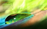 February 2015 Calendar wallpaper (1) #18