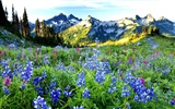 Montagnes nuages d'eau la beauté naturelle du paysage wallpapers HD #19