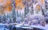 Januar 2015 Bing HD Wallpaper #1