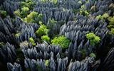 Janvier 2015 fonds d'écran HD Bing #29