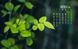 March 2015 Calendar wallpaper (1) #19