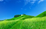 Schöne Farbe, natürlichen Landschaft HD Wallpaper #2