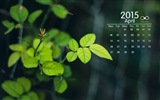 April 2015 Kalender Wallpaper (2) #14