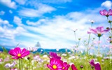 봄 꽃의 HD 배경 화면을 꽃 #20