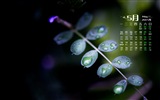 May 2015 calendar wallpaper (1) #7