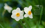 May 2015 calendar wallpaper (1) #12