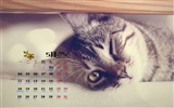 Mai 2015 Kalender Wallpaper (1) #14