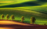 Windows-10 Vorschau Wallpapers Pack (3) #8