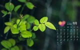 June 2015 calendar wallpaper (1) #12