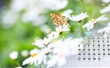 July 2015 calendar wallpaper (1) #4