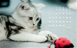 July 2015 calendar wallpaper (1) #11