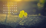 July 2015 calendar wallpaper (1) #19