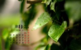 August 2015 calendar wallpaper (1) #11