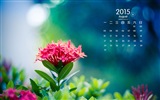 2015年8月 月历壁纸(一)12