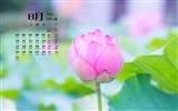 2015年8月 月历壁纸(一)15