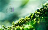 2015年9月 月曆壁紙(一) #7