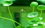 September 2015 Kalender Wallpaper (1) #12