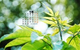 September 2015 Kalender Wallpaper (1) #17