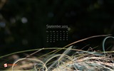 September 2015 Kalender Wallpaper (2) #19