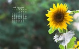 October 2015 calendar wallpaper (1) #2