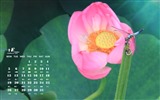 Října 2015 kalendář tapety (1) #8