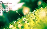 2015年10月 月历壁纸(一)20