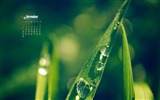 November 2015 Kalender Wallpaper (1) #5