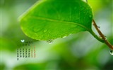 November 2015 Kalender Wallpaper (1) #11