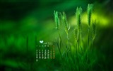 2015年11月 月曆壁紙(二) #2