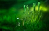 November 2015 Kalender Wallpaper (2) #2