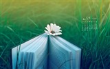 December 2015 Calendar wallpaper (1)