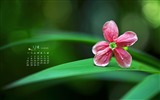 2015年12月 月历壁纸(一)3