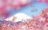 Dezember 2015 Kalender Wallpaper (1) #6