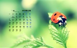 December 2015 Calendar wallpaper (1) #10