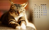 December 2015 Calendar wallpaper (1) #14