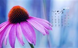 January 2016 calendar wallpaper (2) #5