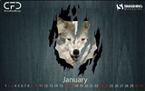 Januar 2016 Kalender Wallpaper (2) #20