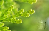 2016年4月 月历壁纸(二)2