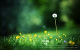 April 2016 calendar wallpaper (2) #4