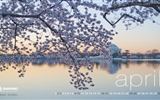 April 2016 calendar wallpaper (2) #8