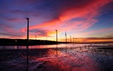 Taiwan Gaomei wetlands sunset HD Wallpapers #5