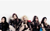 fondos de pantalla ExID grupo muchachas de la música coreana HD #19