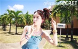 Korean girl group Secret HD wallpapers #2